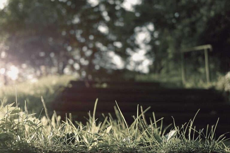 Central Bank holds key rate at 27.5%, signals tight stance